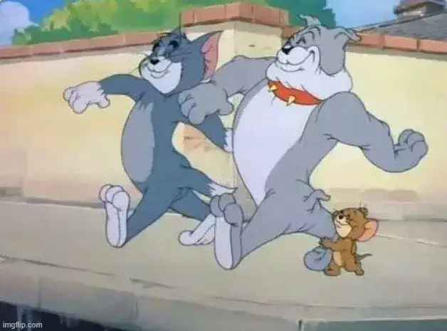 Mèo Tom chuột Jerry và chó Spike cùng nhau đi dạo