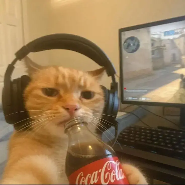 400+ ảnh Meme Mèo từ vô tri tới dễ thương ngôi sao meme thống trị mạng xã hội