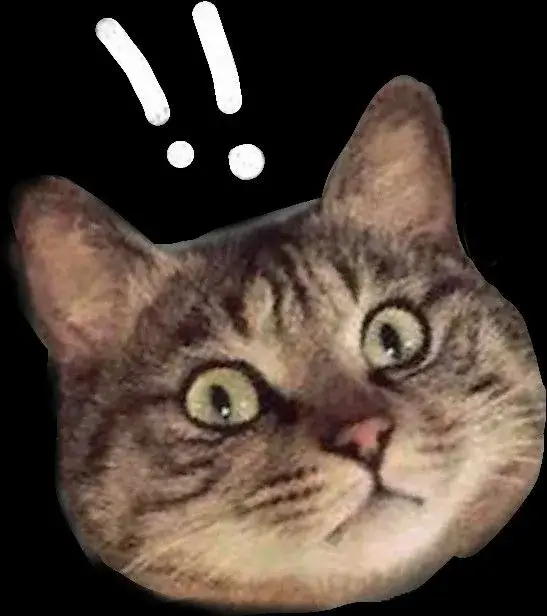 Biểu cảm sững sờ dáng người cứng đờ cực hài