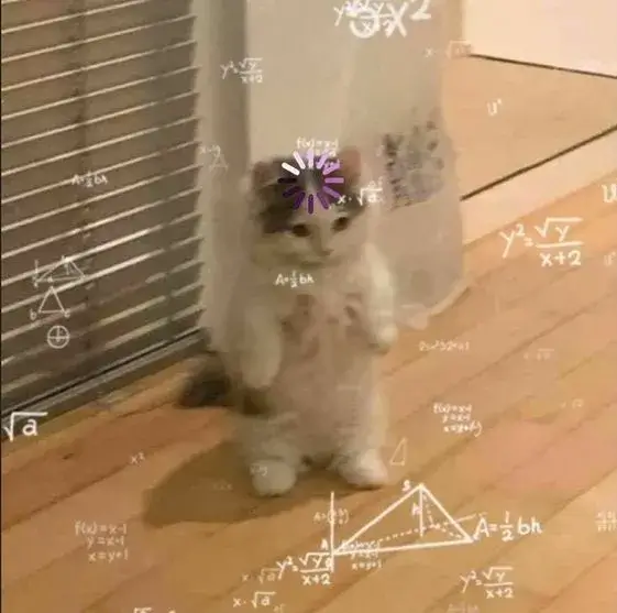 Biểu cảm mèo con hoang mang miệng há hốc cực troll