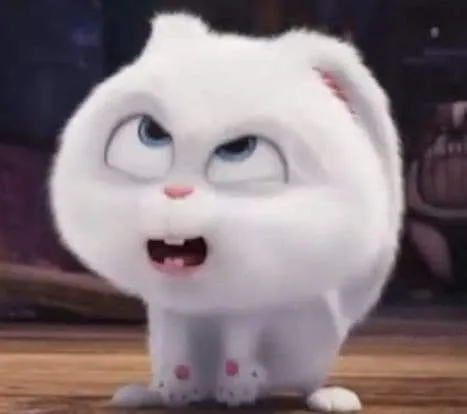 Meme thỏ bông dáng đứng ngơ ngác ánh mắt tròn xoe