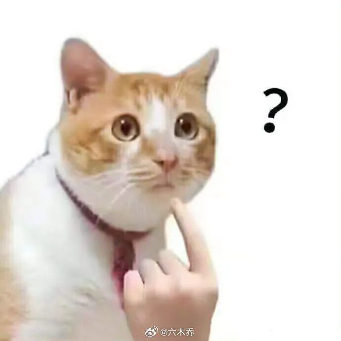 Meme mèo đơ mặt ánh mắt vô hồn cực troll