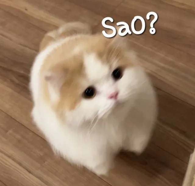 Biểu cảm lúng túng ánh mắt loạn thần cực troll