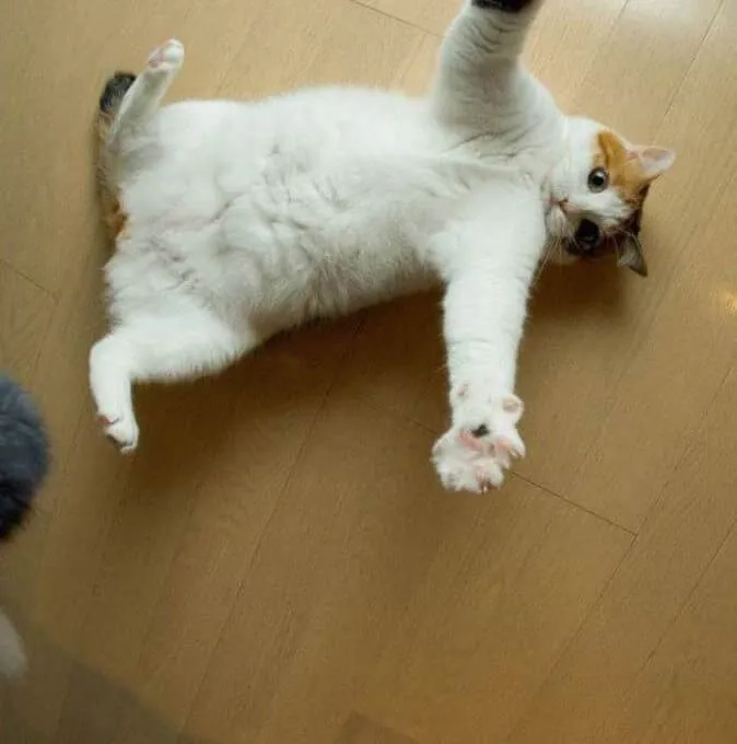 Ảnh chế ôm an ủi ngọt ngào