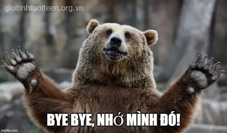 Chú gấu lớn vẫy tay chào