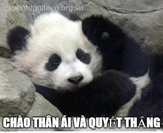 Ảnh chế ly biệt hài hước, gương mặt trông vừa tức vừa buồn