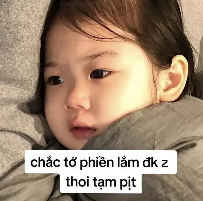 Meme ly biệt với đôi mắt trống rỗng, ánh nhìn buồn bã