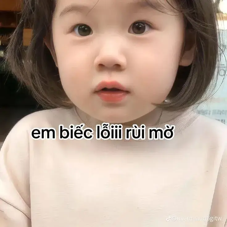 Meme chắp tay xin lỗi đầy lầy lội