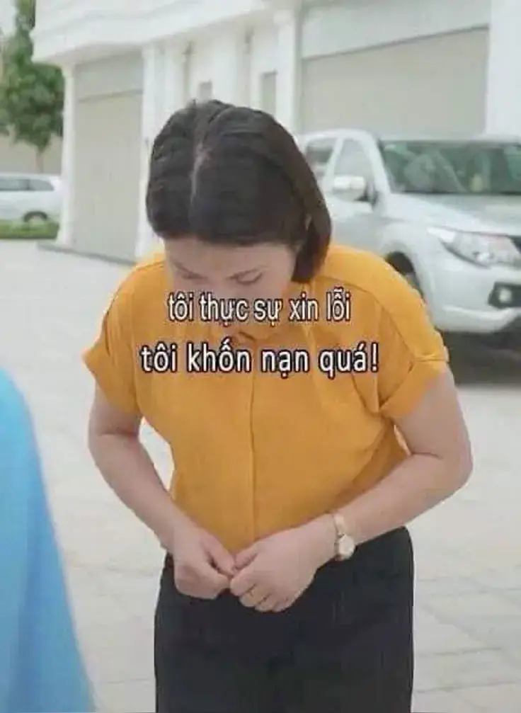 Meme xin lỗi dập đầu bá đạo