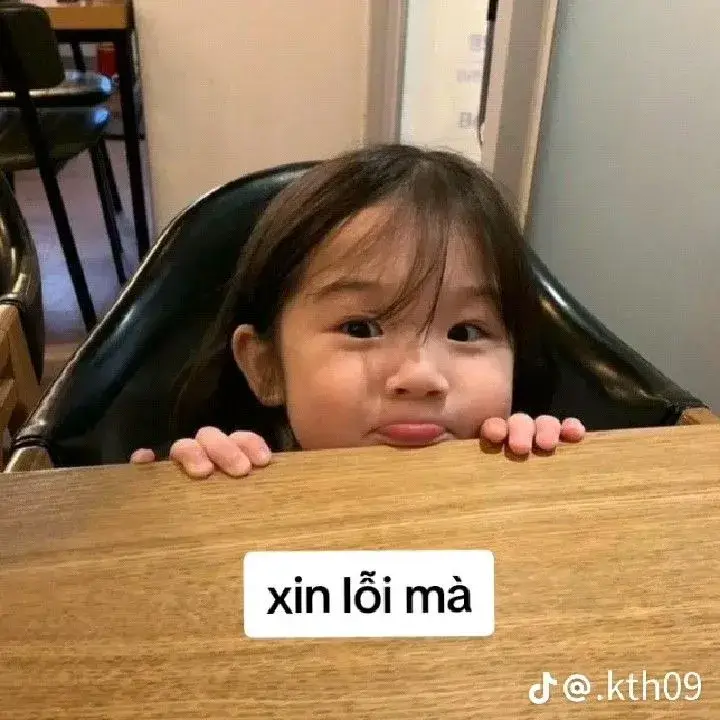 Meme xin lỗi cúi đầu cực ngộ nghĩnh