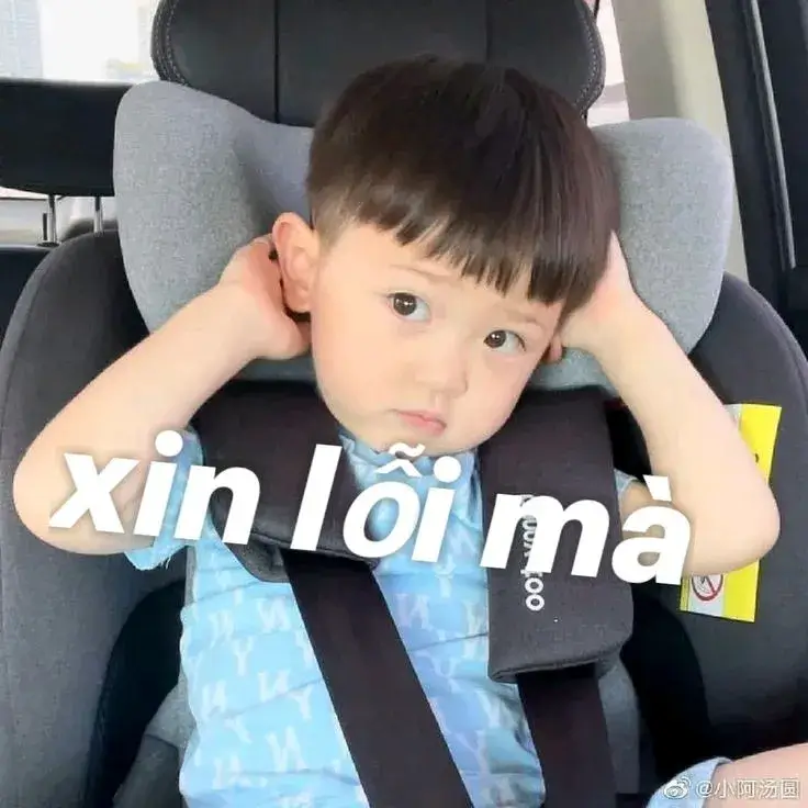 Meme dập đầu xin lỗi bá đạo
