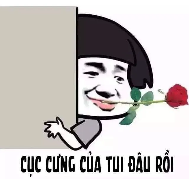 Meme xin lỗi người yêu cực tội nghiệp và hài hước