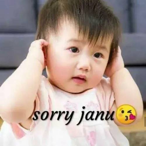 Khi không biết nói gì, gửi một meme xin lỗi cũng đủ