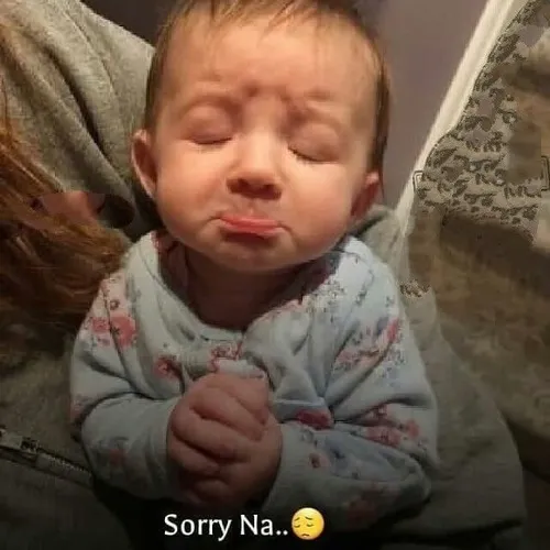 Khi lời xin lỗi được gửi đi bằng meme đầy cảm xúc