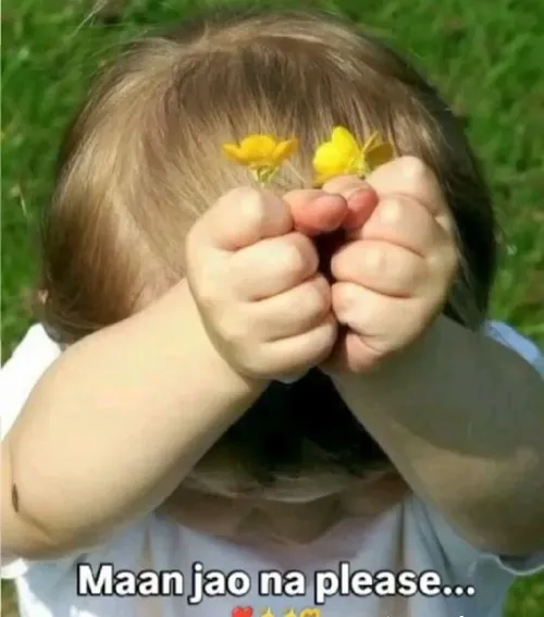 Bộ meme xin lỗi giúp nói điều khó nói dễ thương hơn