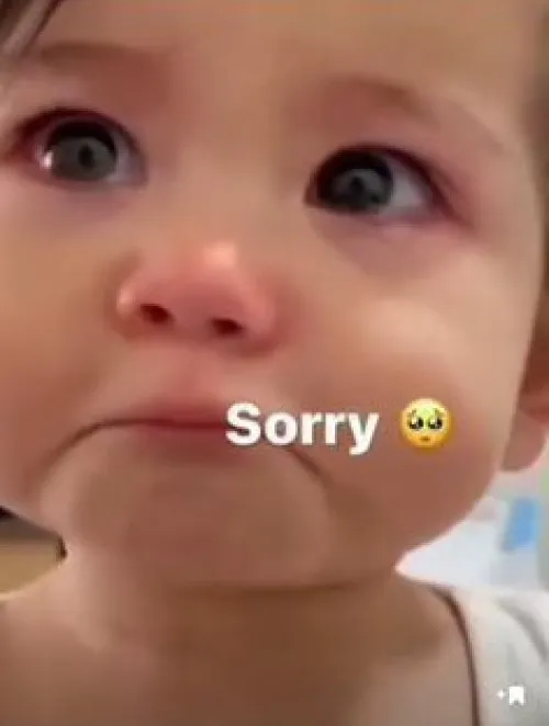 Meme troll cúi đầu gửi sếp sau pha trễ deadline