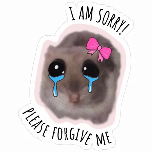 Những meme chuột xin lỗi khiến người nhận không thể giận lâu