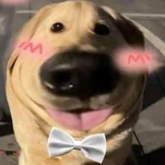 Ảnh đại diện chó vô tri gương mặt đơ siêu hài hước.