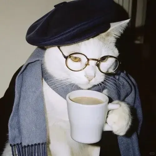 Ảnh avatar avatar mèo vô tri nổi chất hài hước lạnh trên nền sáng