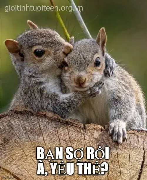 Ảnh chế vui nhộn thúc giục bạn làm ngay đi