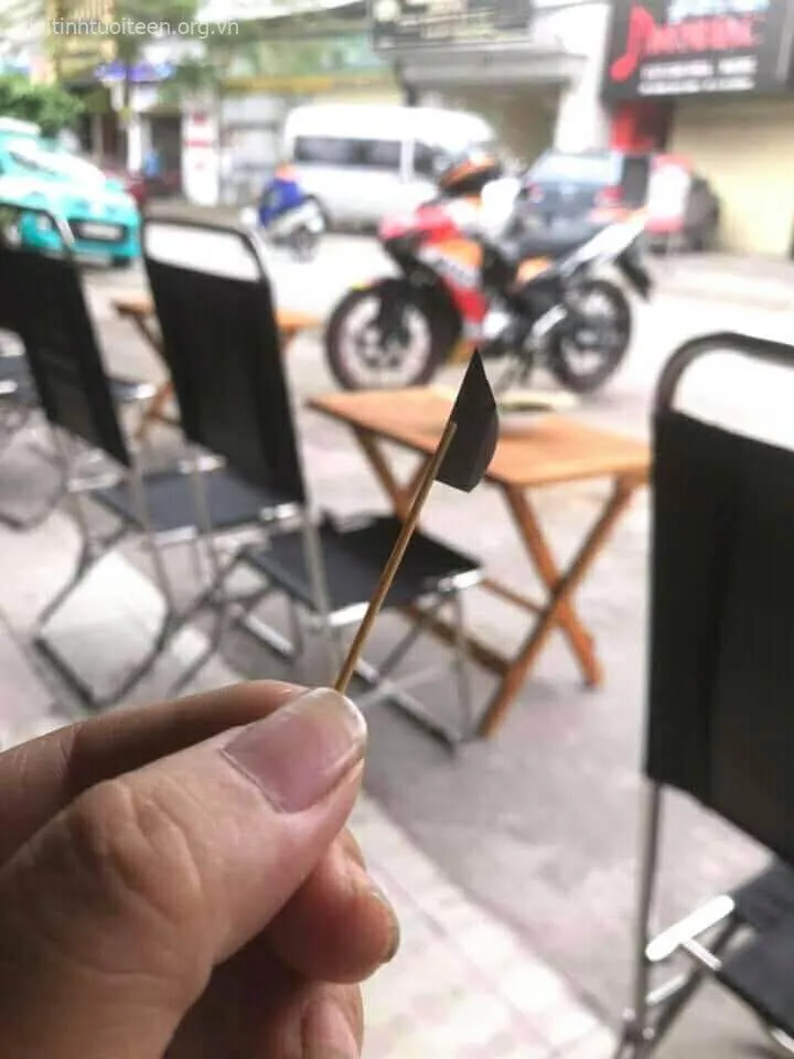 Cây phóng lợn phiên bản mini