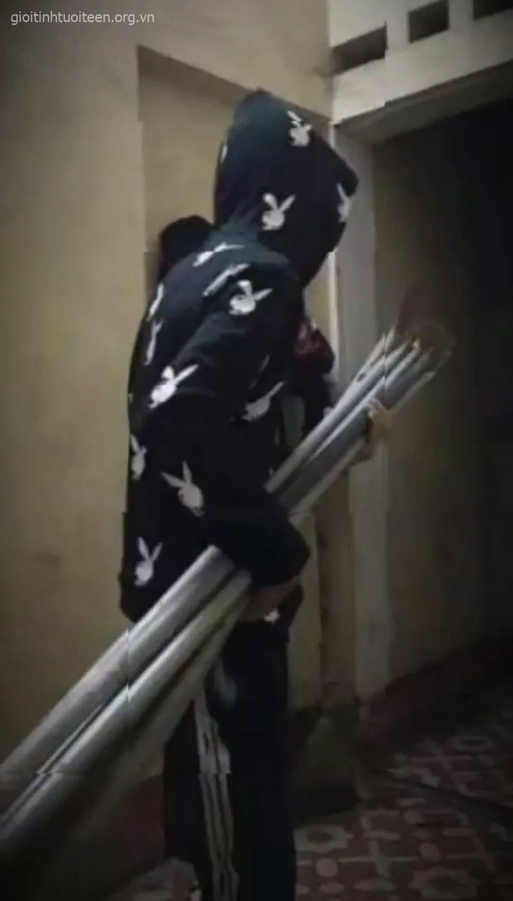 Hình chế meme phóng lợn đầy châm biếm.