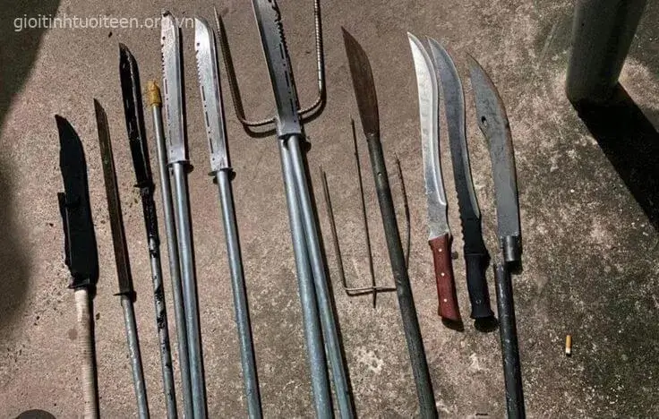 Bộ dao phóng lợn