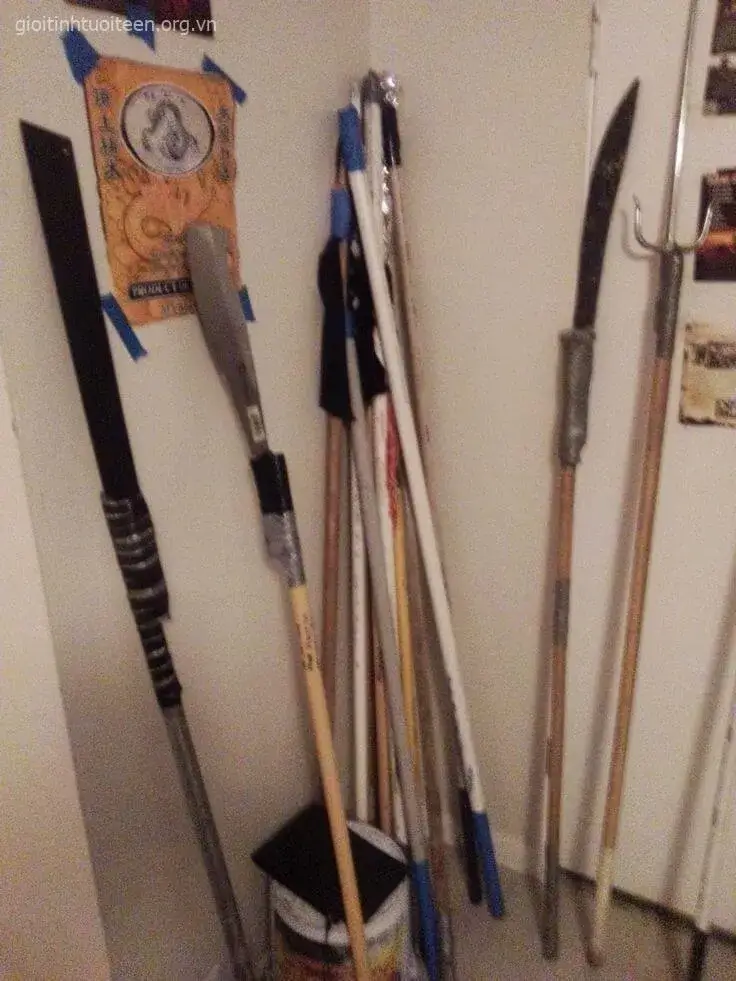 Ảnh cầm cây phóng lợn