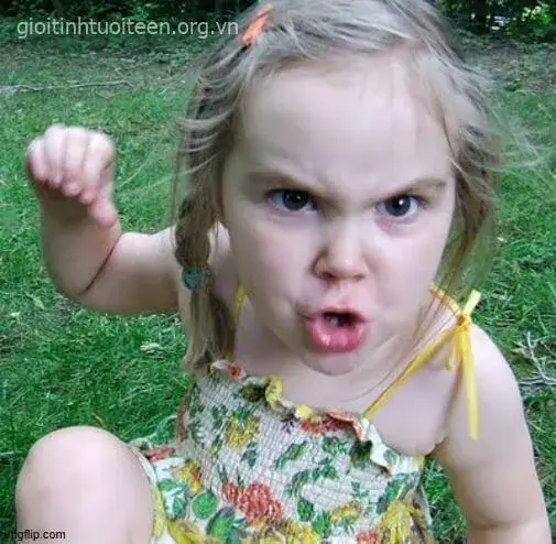 Meme mẹ đánh con troll lầy vui nhộn