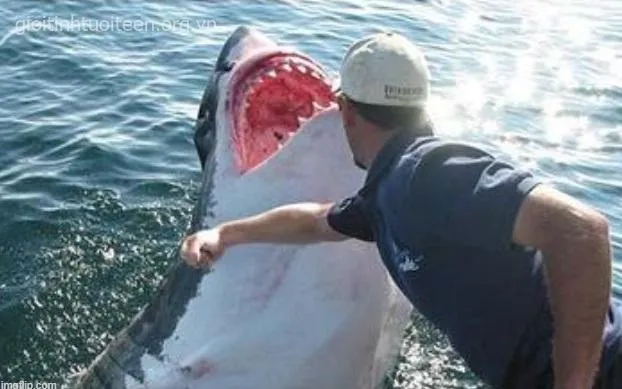 Meme đánh hội đồng bá đạo trong group chat