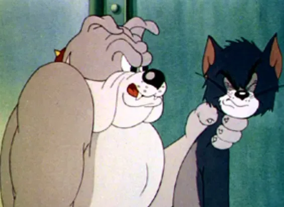 Top meme Tom mới nhất – Biểu cảm mèo Tom khiến dân mạng bùng nổ