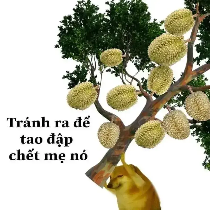 Meme mẹ đánh con hài hước cực mạnh