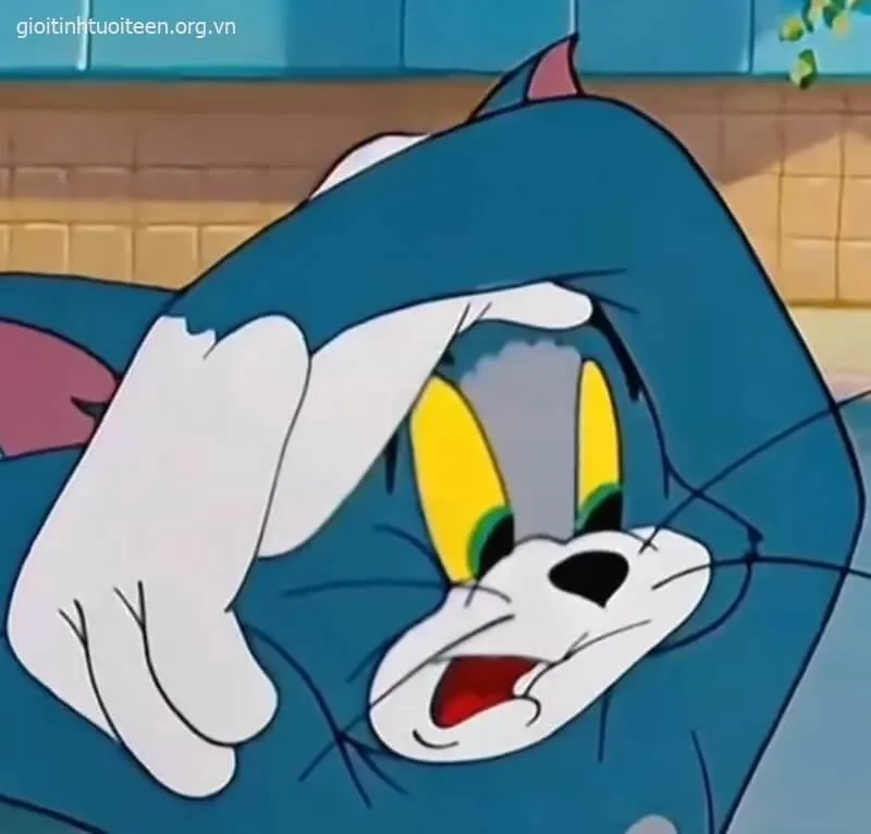 Meme mèo Tom sốc ánh mắt mở to rõ ràng