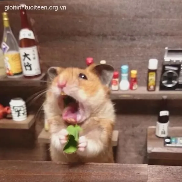 Meme chuột Hamster bị sốc ánh mắt vô hồn