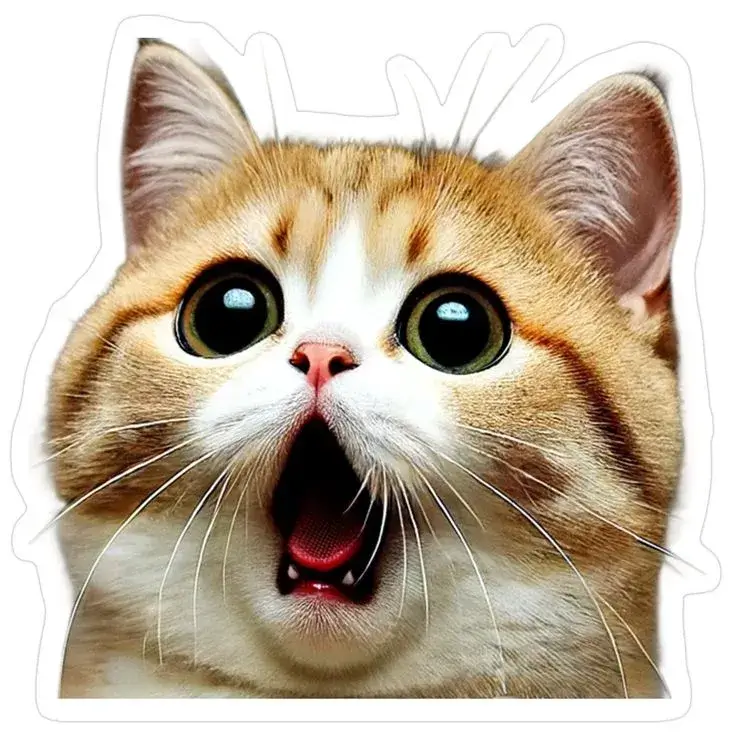 Biểu cảm mèo vàng há mồm hoảng hốt cực troll