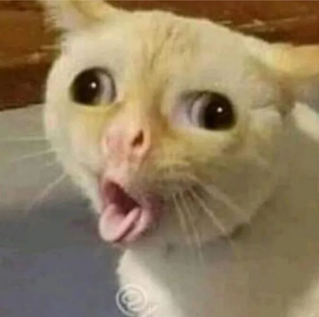 Mèo há hốc mồm ngơ ngác cực đáng yêu