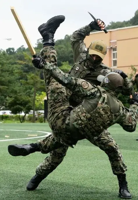 Meme đánh nhau dễ thương biến xung đột thành vui