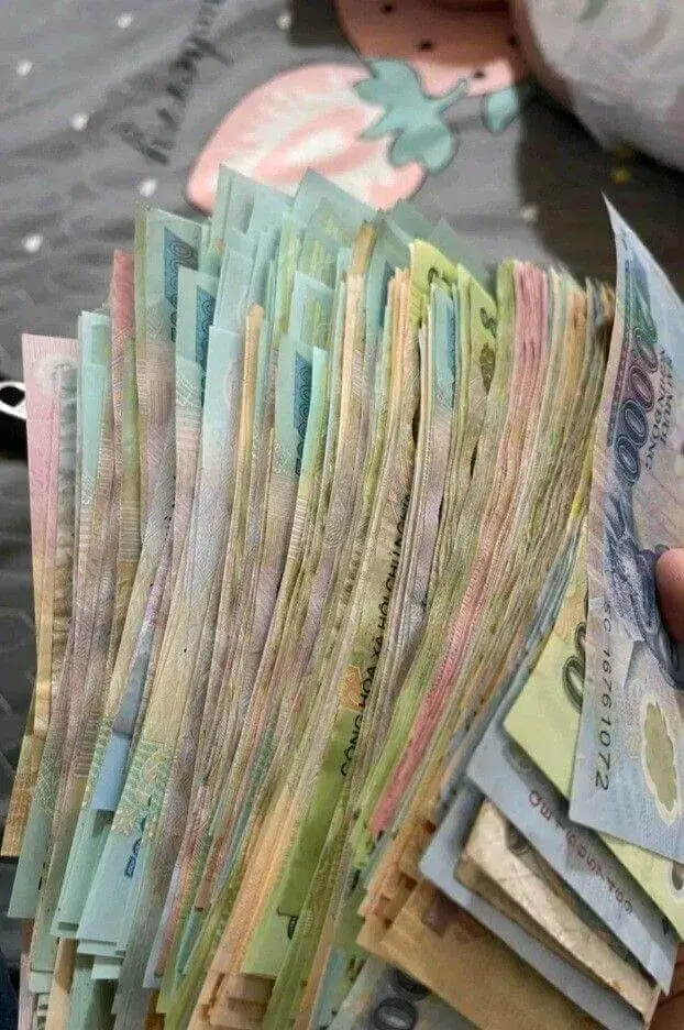 Ngồi giữa núi tiền lấp lánh sáng cả phòng