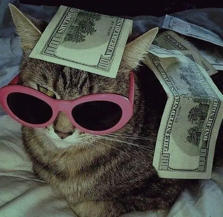 Nằm trên đống tiền mơ giấc ngủ sang giàu