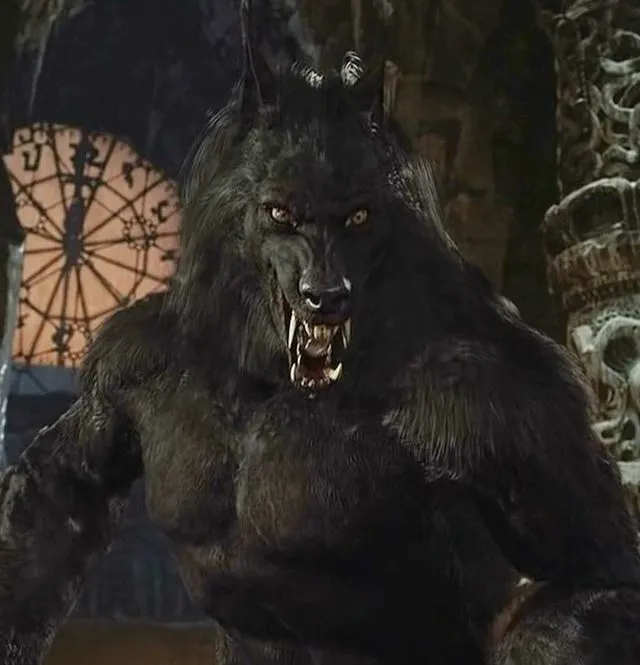 Hình ảnh sói cô độc, vẻ ngoài đáng sợ.