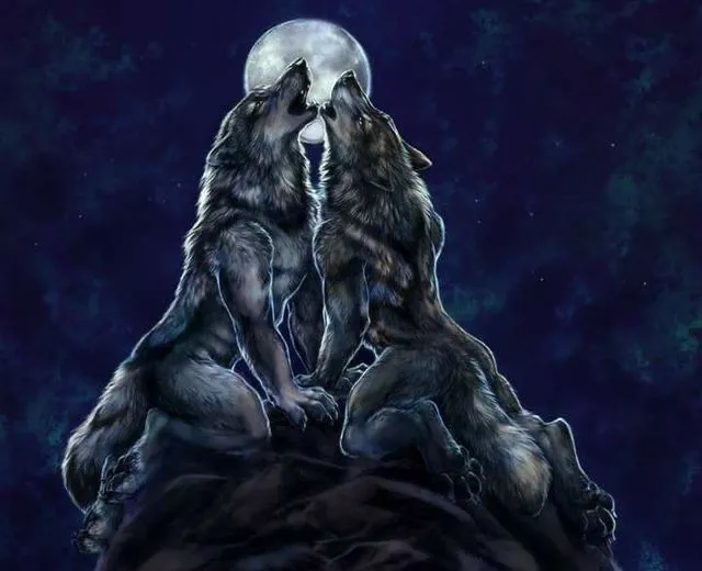 Meme sói cô độc nhìn vừa thần bí vừa lạnh lẽo.