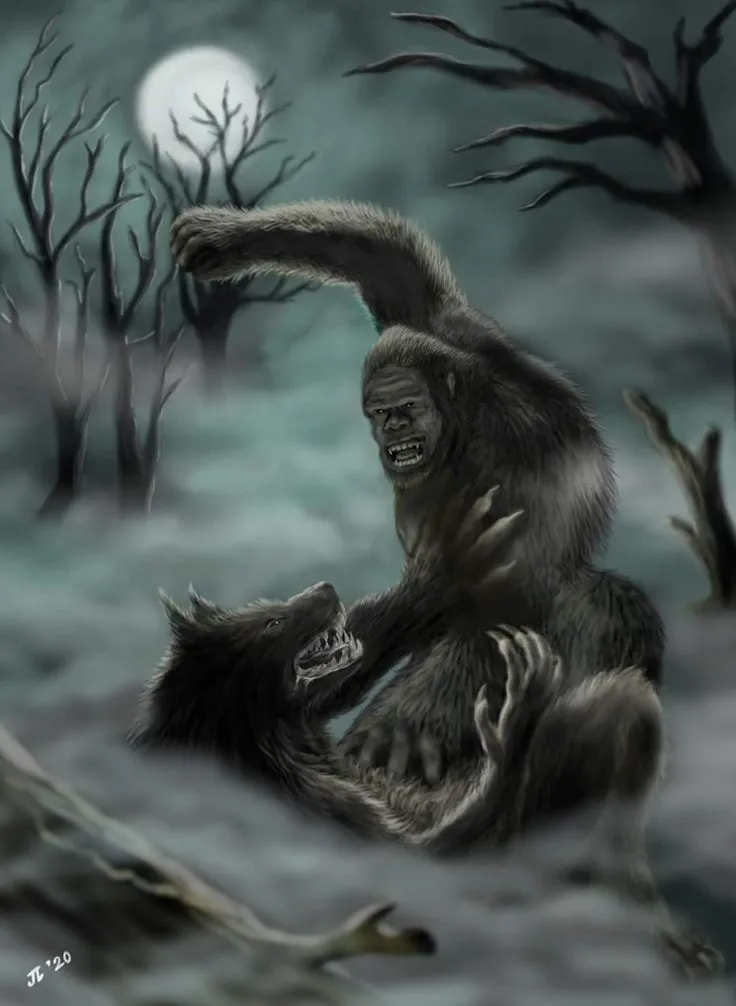 Meme sói cô độc với khuôn mặt kỳ dị.