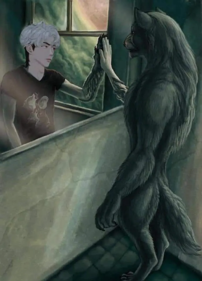 Sói đáng sợ nhìn mình trong gương