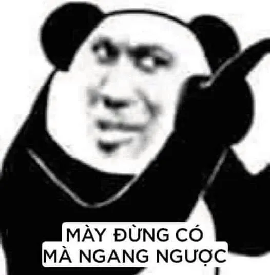 Hình chế gấu trúc chỉ trỏ ngạc nhiên bá đạo