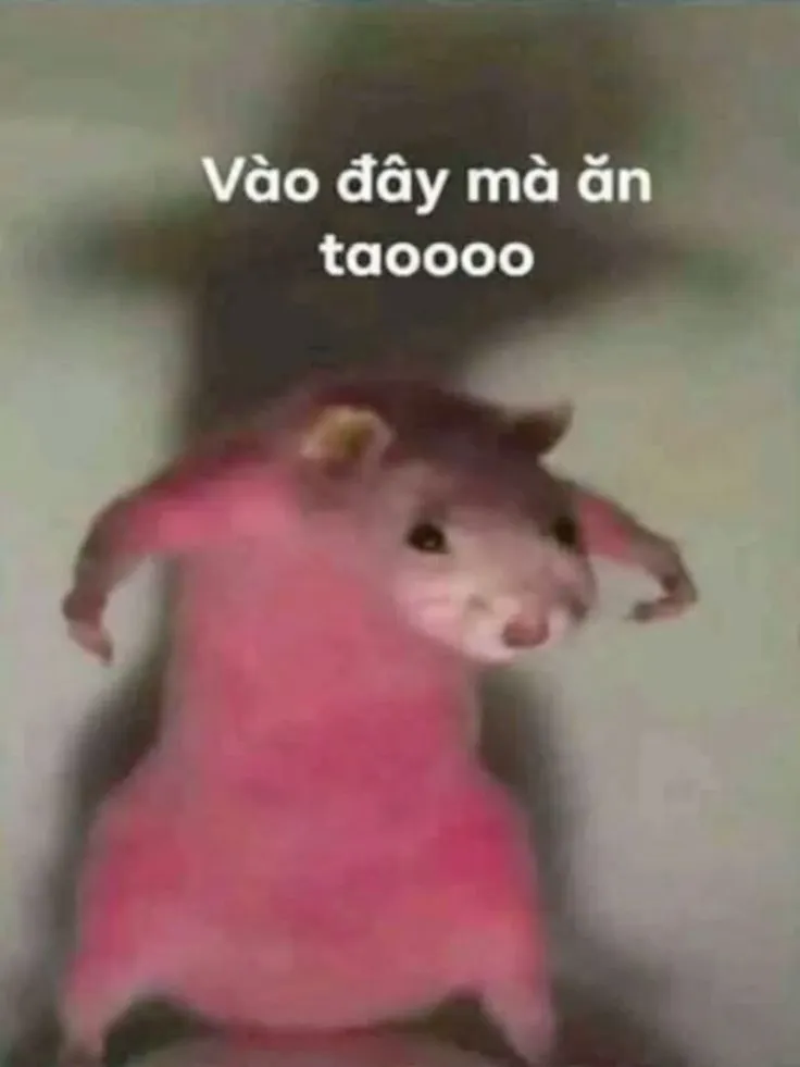 Hình ảnh chú chuột giận đỏ người