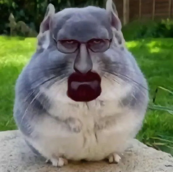 Avatar chuột duyên dáng cực troll lầy lội