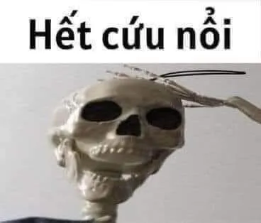 Hình chế bộ xương bất lực, nhìn vừa thương vừa buồn cười.