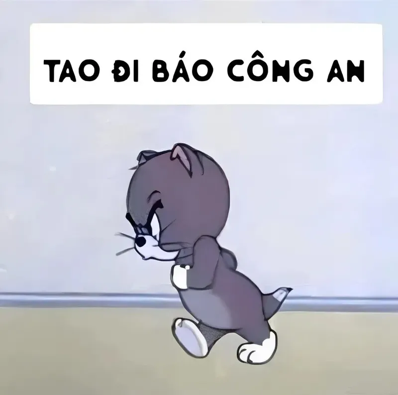 Meme mèo: Tao báo công an đầy thái độ khiến ai cũng cười