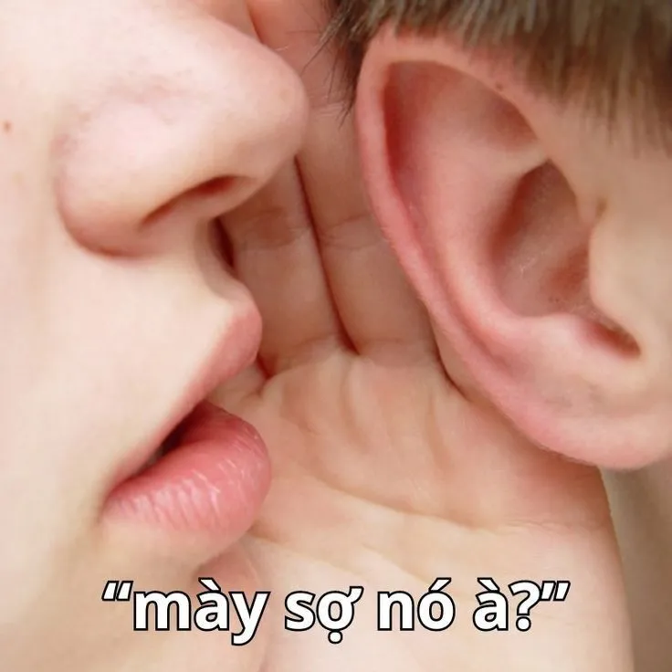 Meme mày sợ nó à viral rầm rộ trên mạng xã hội