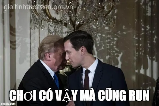 Ảnh chế bá đạo khiến lời khích trở nên hài hước